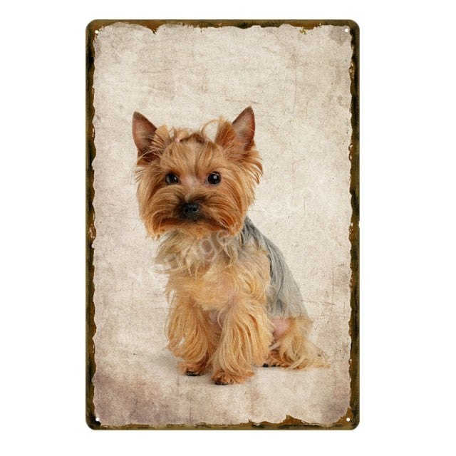 Funny Animals Pet Dogs Wall Decor