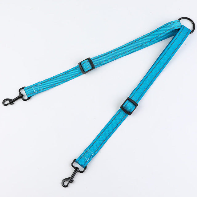 Double-head Nylon Leash for Two Dogs Training Rope