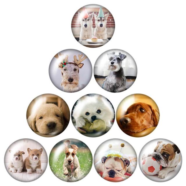 Lovely Dog Love pet snap buttons