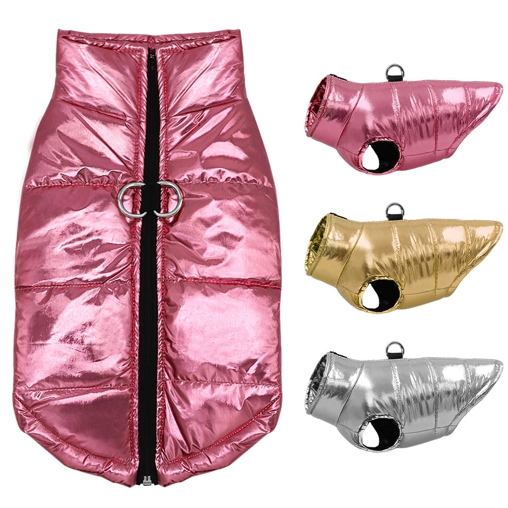 Clothes For Small Dogs Waterproof