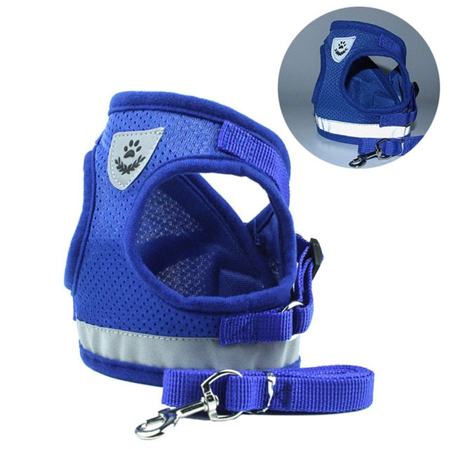 Reflective Cat Harness And Leash Set