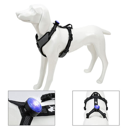 Led Light Lamp Dog Collar