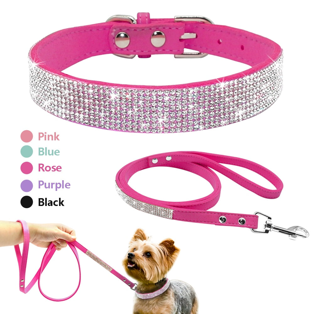 Didog Suede Leather Puppy Dog Collar