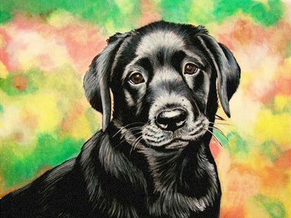 Diamond Painting Dog 5D Embroidery