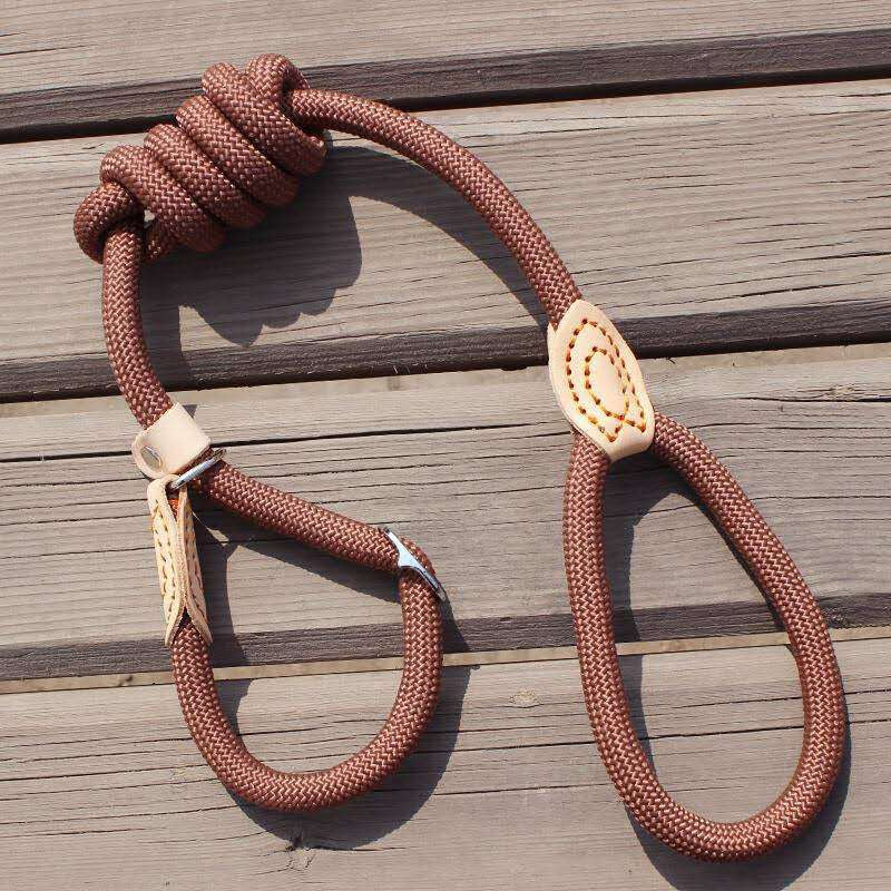 Dog Leash Slip Collar Climbing Rope