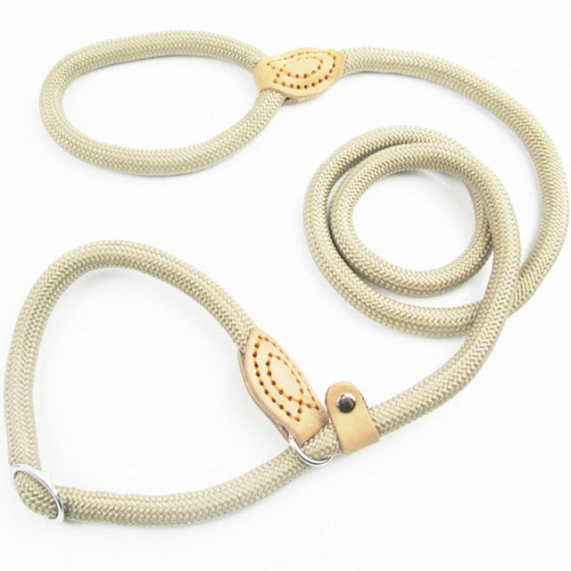 Dog Leash Slip Collar Climbing Rope