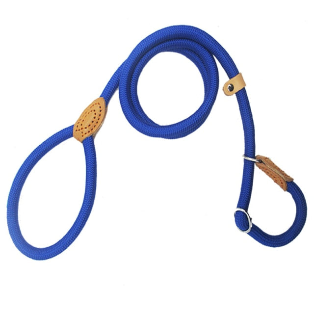 Dog Leash Slip Collar Climbing Rope