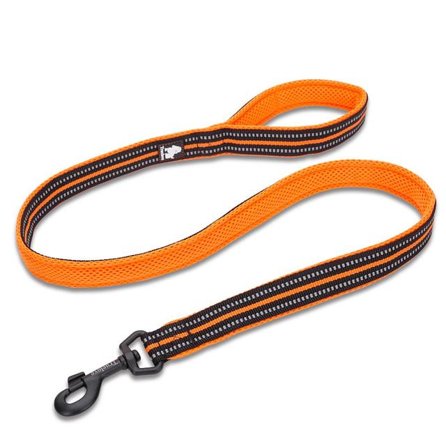 Soft Padded Mesh Dog Leash