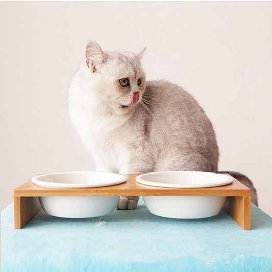 Cat Dog Feeders Bowl Food Bowl