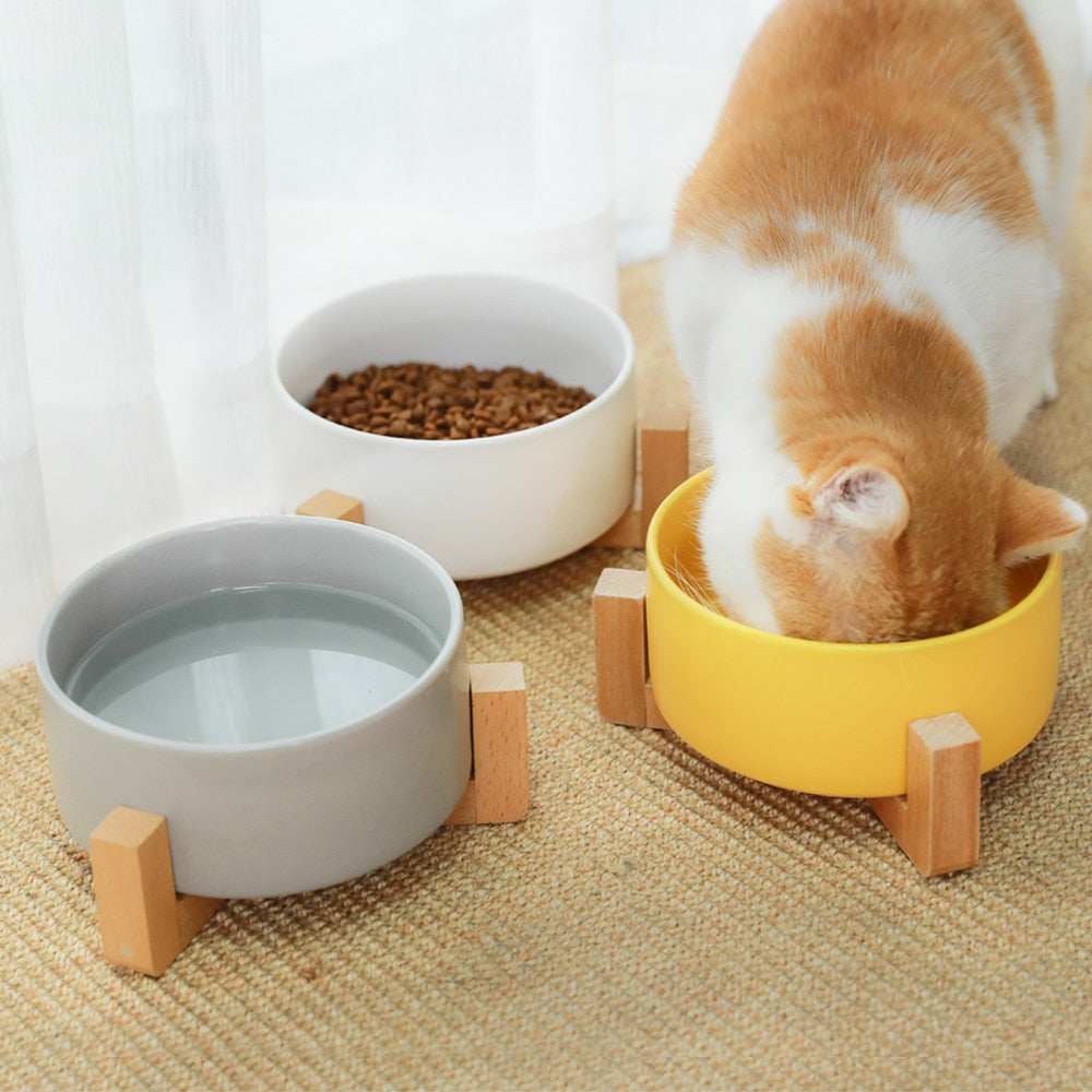 HOOPET Cat Bowl Ceramic Dish Food Feeding