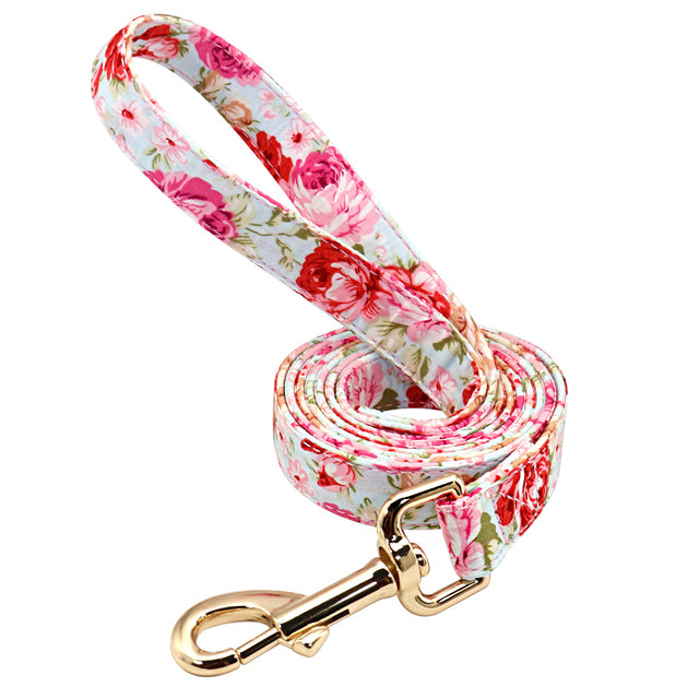 Personalized Dog Collar And Leash