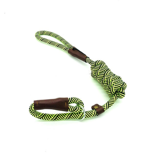 Durable Slip Rope Dog Leash Collar