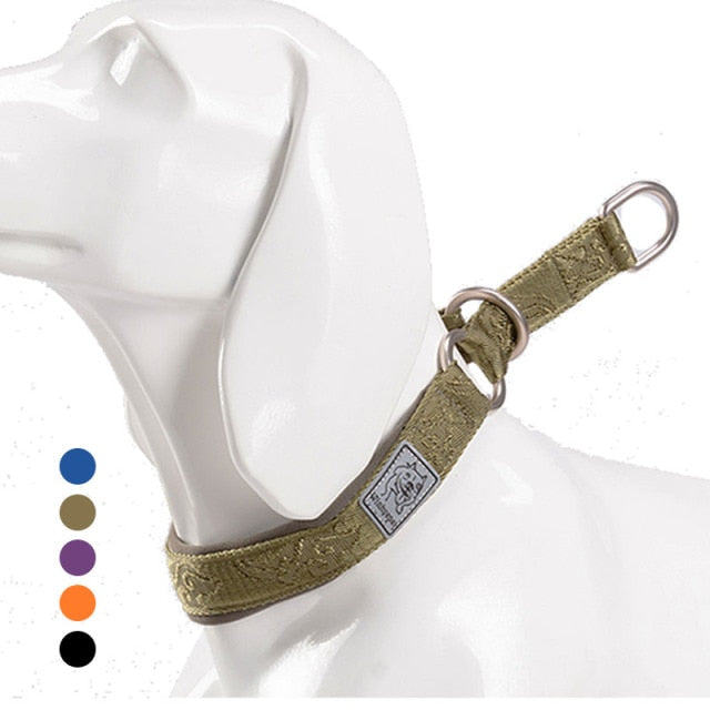 Nylon Dog Training Slip Choke Collar