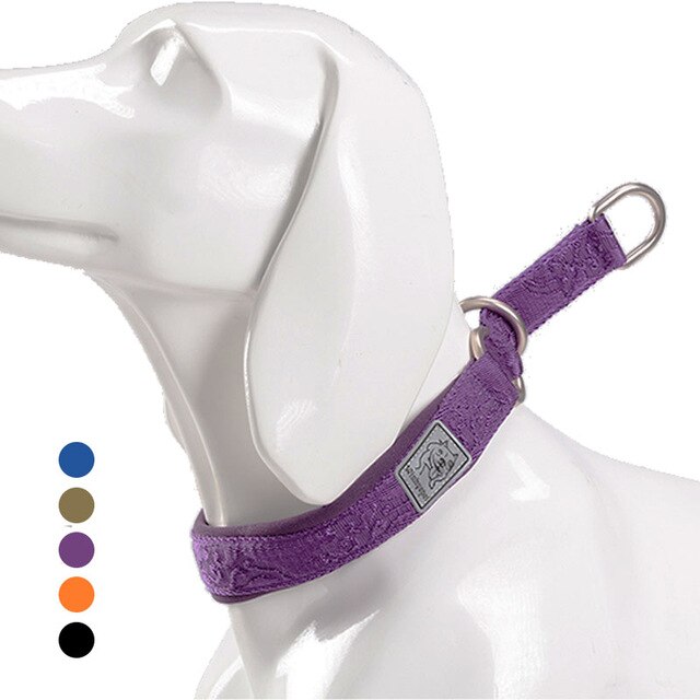 Nylon Dog Training Slip Choke Collar