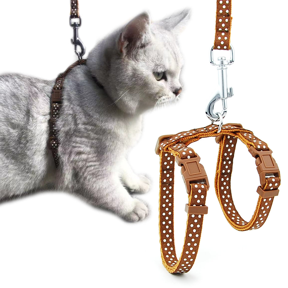 Cat Dog Collar Harness Leash  Pet Traction