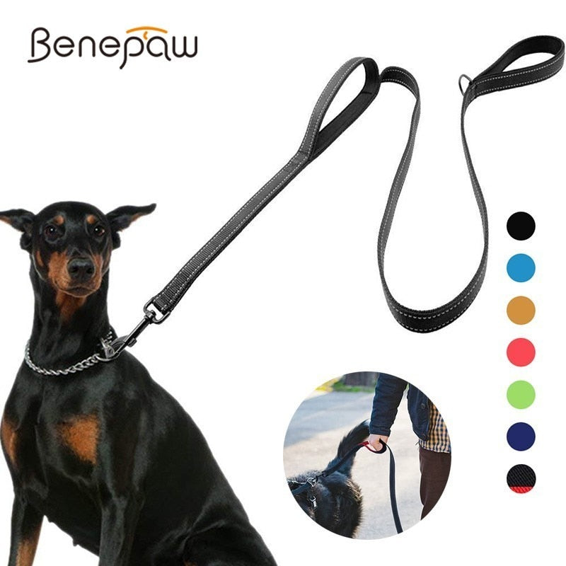 Two Handle Pet Training Leash