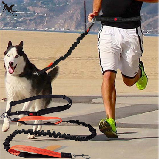 Dogs Leash Running Elasticity Hand Freely