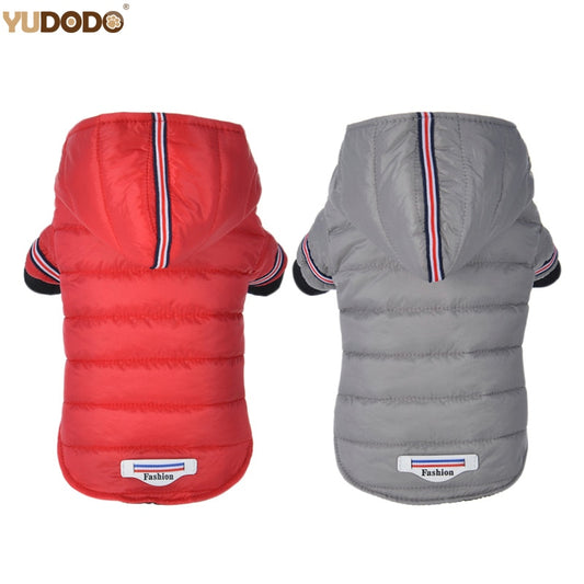 Small Dog Clothes Outdoor Clothing