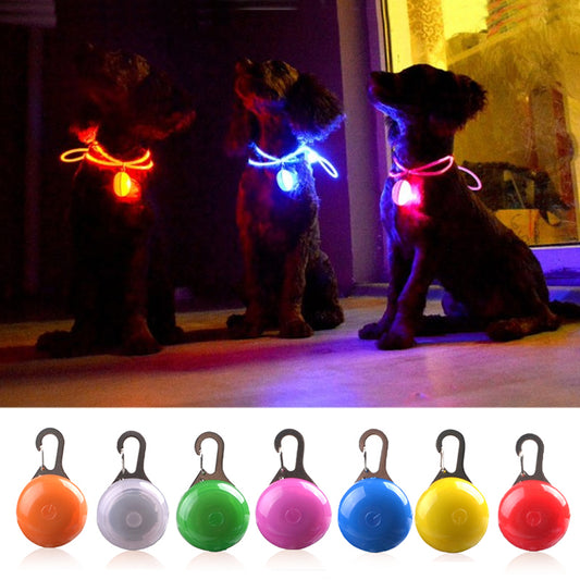 LED Flashlight Dog Collar Glowing Pendant