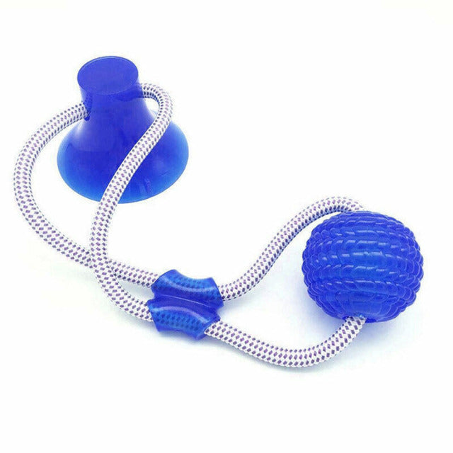 Dog Interactive Suction Cup Push Ball Toys