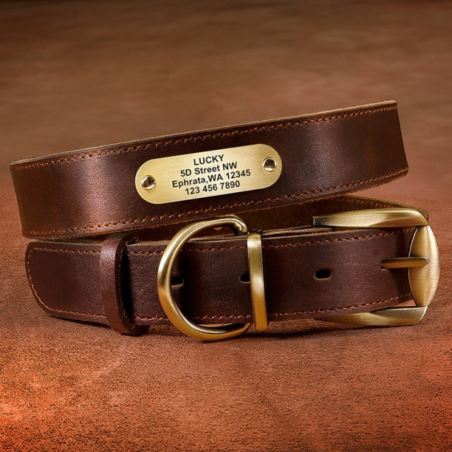 Real Leather Dog Collar Personalized  ID