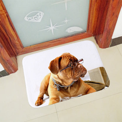 Anti slip doormat for entrance dog mat