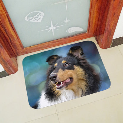 Anti slip doormat for entrance dog mat