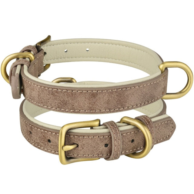 Leather Collar Double D-ring Dog Control