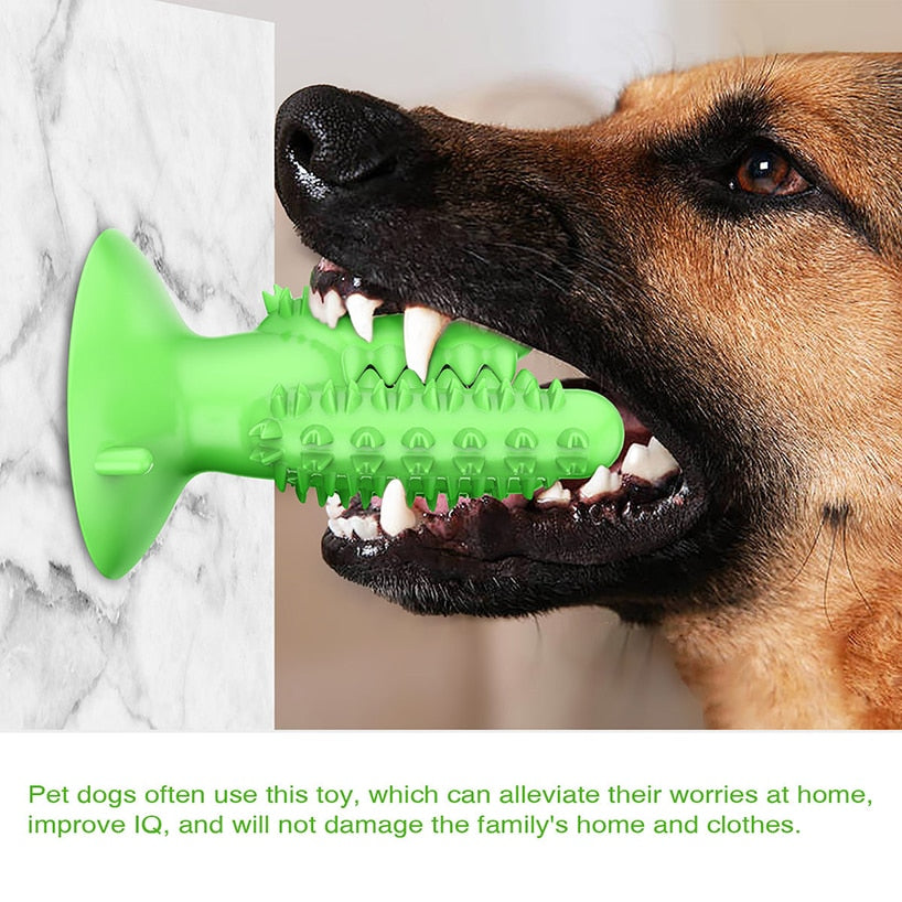 Bite Resistant Dog Toothbrush Pet Molar