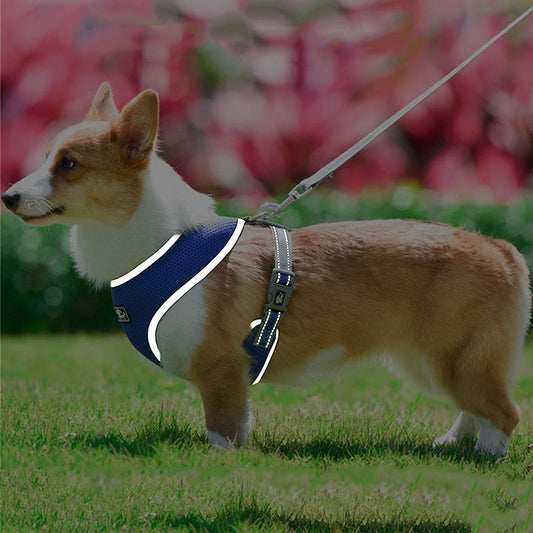 Vest Puppy Harnesses Reflective Walking Lead