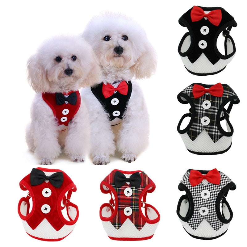 Puppy Cat Harness and Leash Set Dress Bow