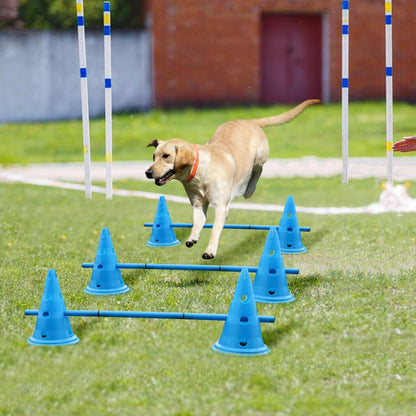 Dog Exercise Training Jumping Stakes Sports