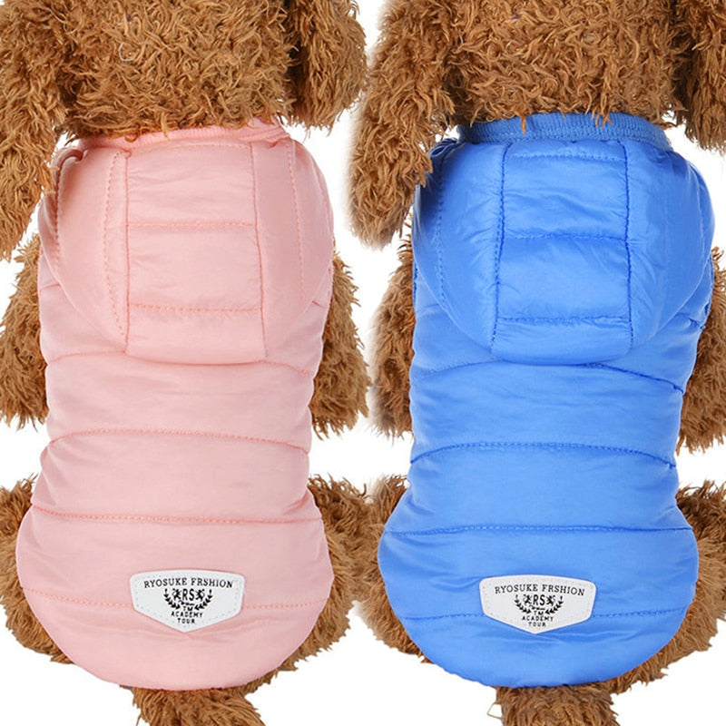 Winter Down Jacket Dog Coat Outfit