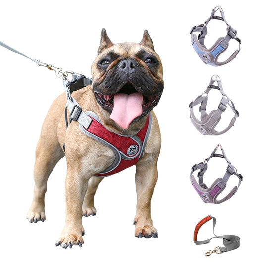 harness vest reflective small dog leash and collar