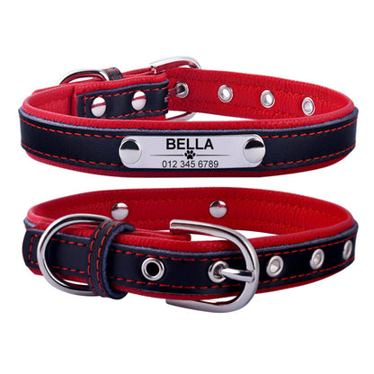 Dog Collar and Tie Custom Engraved