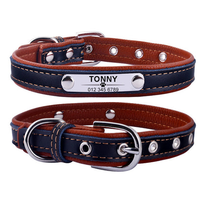 Dog Collar and Tie Custom Engraved