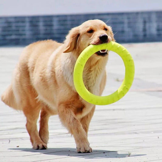 Pet Flying Discs Dog Training Ring