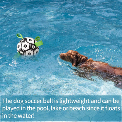 Dog Toys Interactive Pet Football Toys