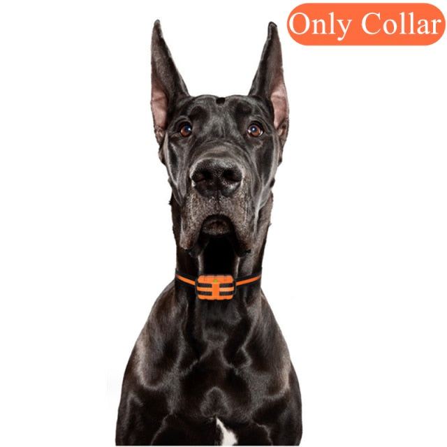 Waterproof Dog Training Collar Vibration Anti-Bark