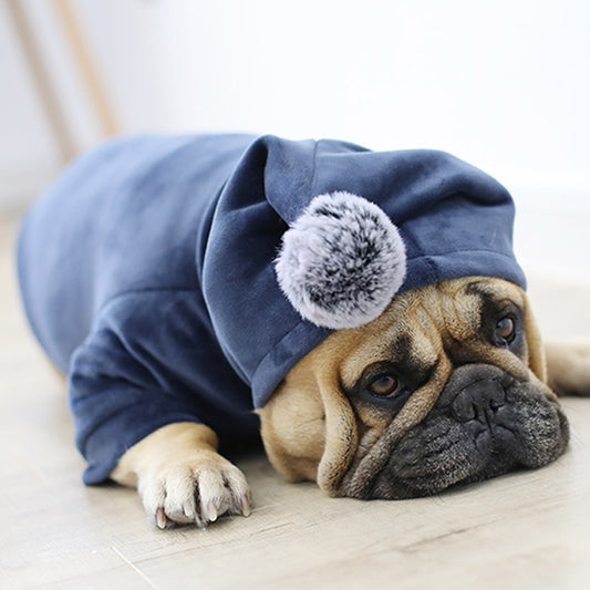 Winter Pet Dog Clothes Pug Clothing