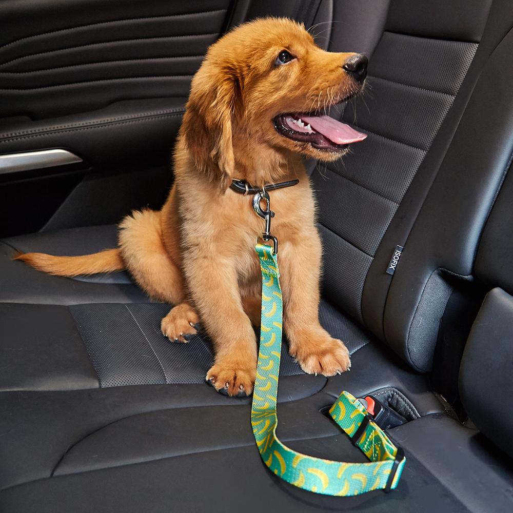 Dog Seat Belt Car Harness Adjustable
