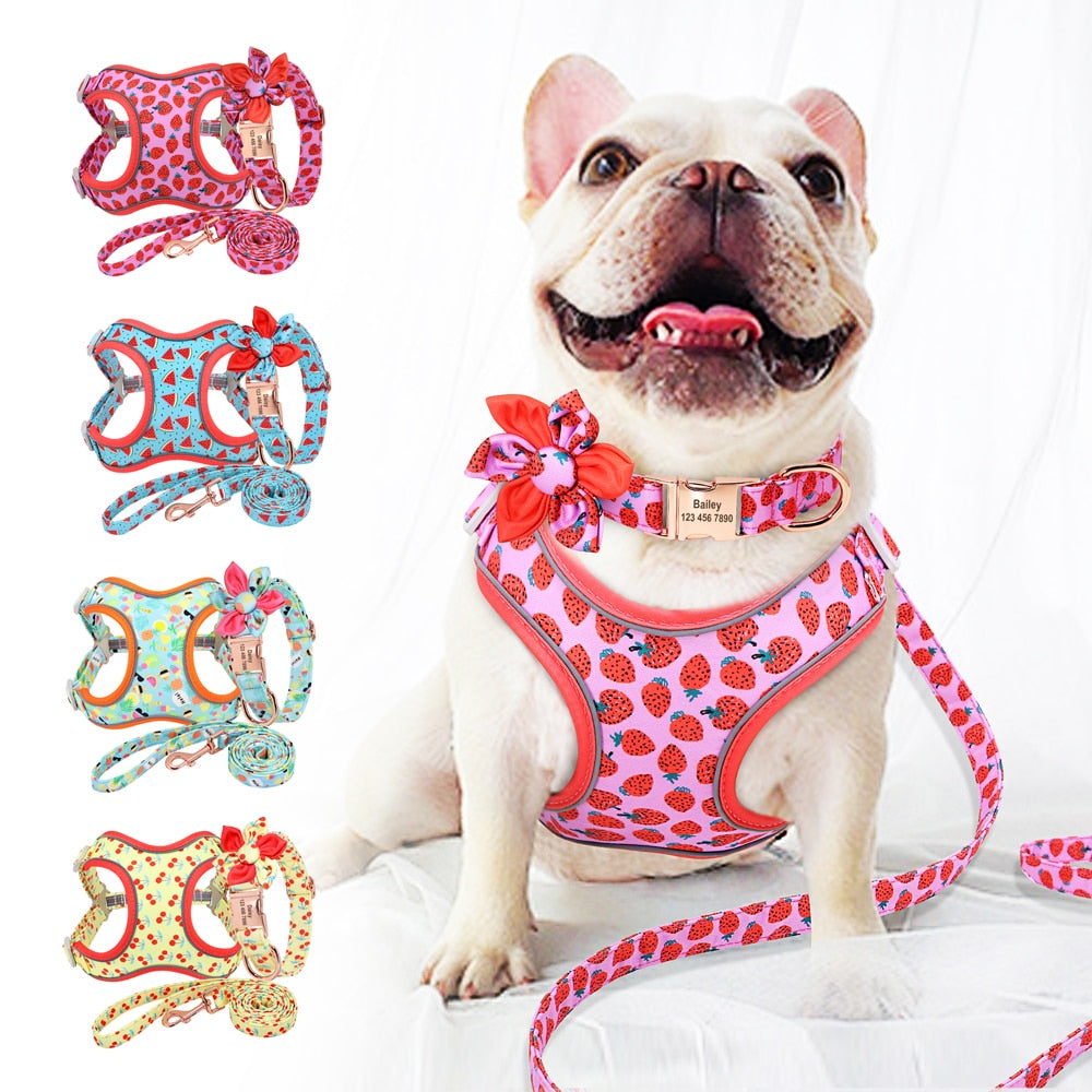Custom Printed Dog Collar Leash Set