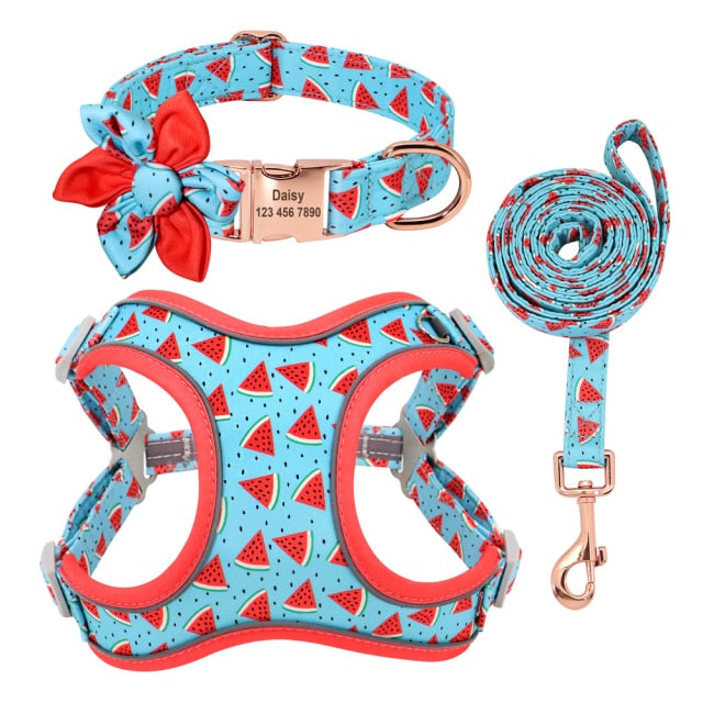 Custom Printed Dog Collar Leash Set