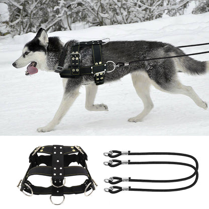 Strong Dog Sledding Harness Durable Training