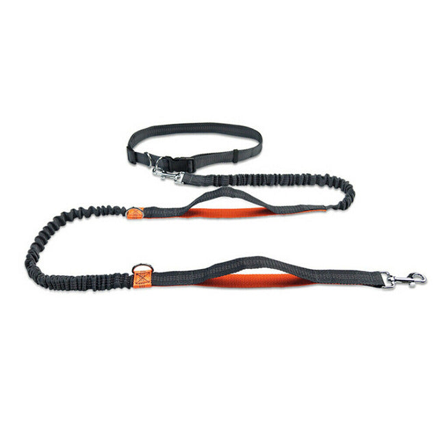 New Reflective Leash Traction Rope