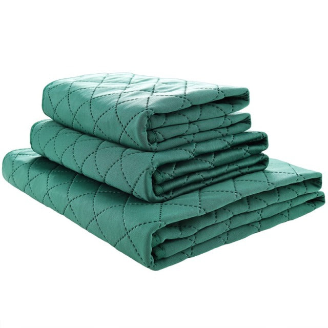 Waterproof Dog Mats Reusable Proof