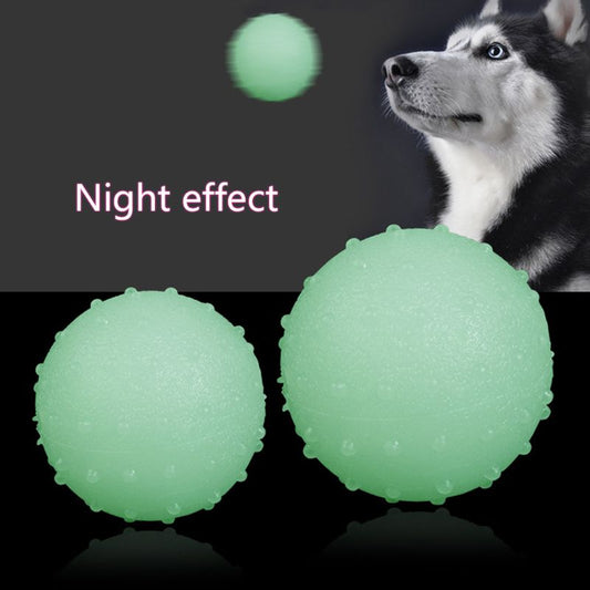 Dog Luminous Elastic Ball