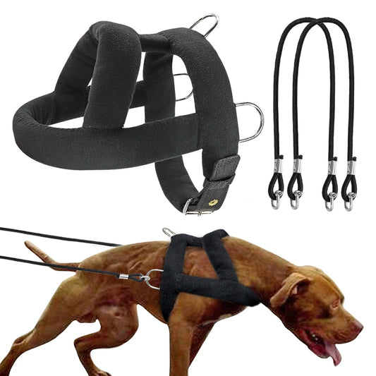 Dog Weight Pulling Training Harness Pulling Leash For Work Dogs