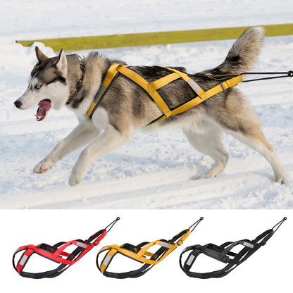 Dog Sled Harness Pulling Sledding
