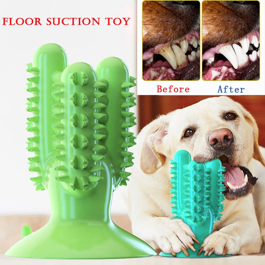 NEW Dog Toothbrush Toys Chewing